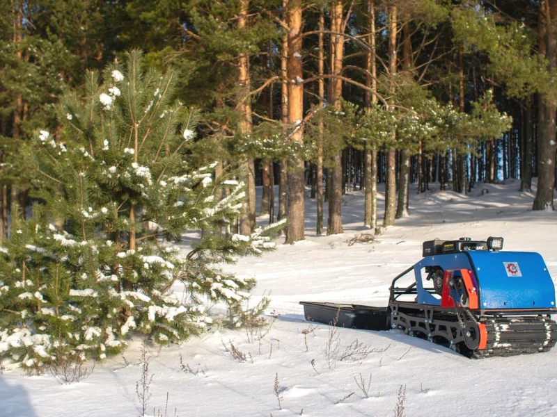 Мотобуксировщики БТС